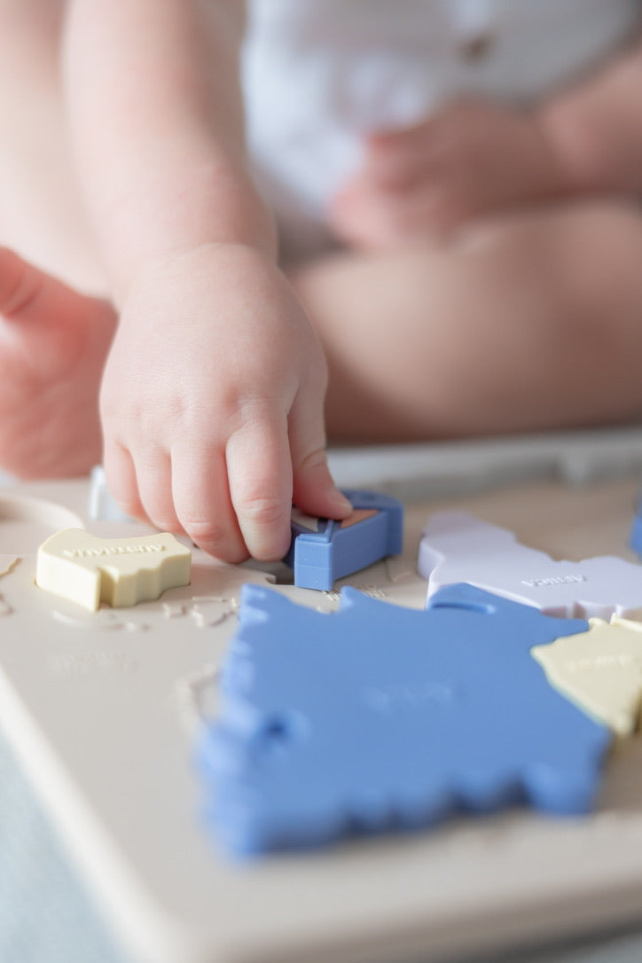 Silicone Continents Puzzle