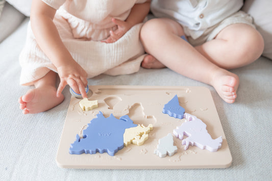 Silicone Continents Puzzle